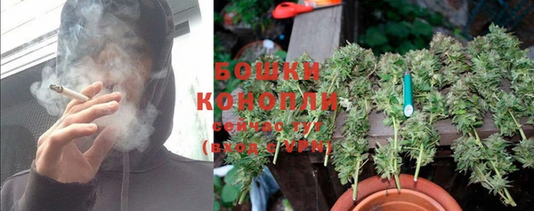 бутират Снежногорск