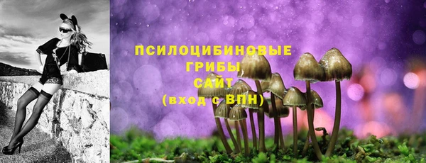 apvp Костерёво