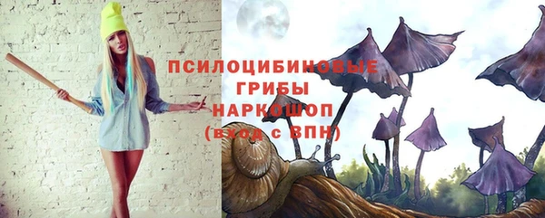 spice Касимов